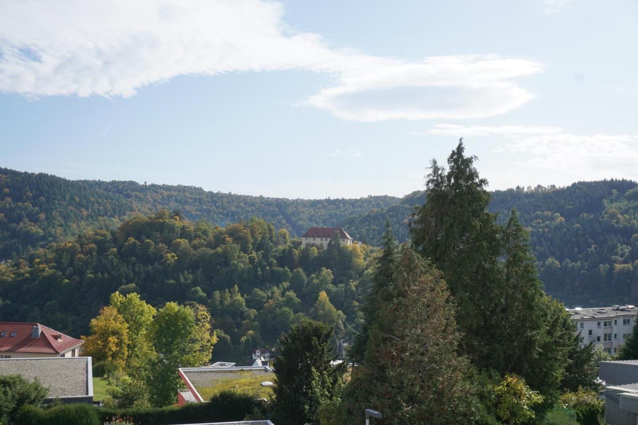 Ferienwohnung Schauinsland Neuenburg  Exteriér fotografie